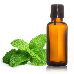Peppermint Essential Oil