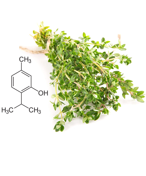 Thymol Natural