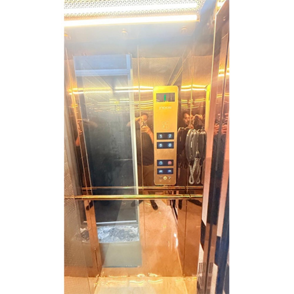 Rose Gold Glass Home Elevator Cabin
