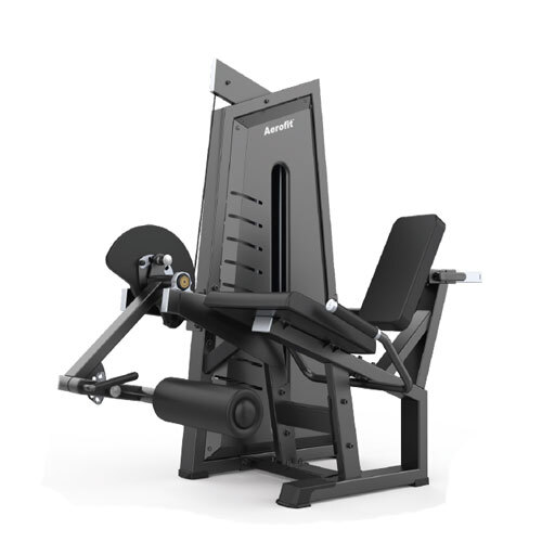AF 4302 Leg Extension