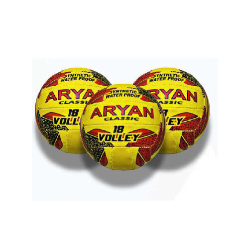 Aryan Volleyball