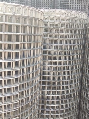 25x25 mm Mild Steel Welded Mesh