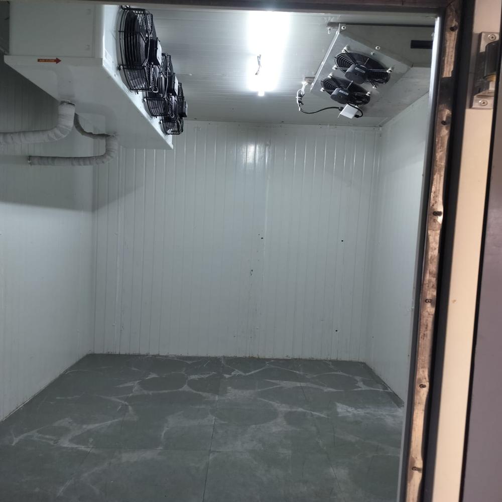 Incubation Cum Blast Chamber