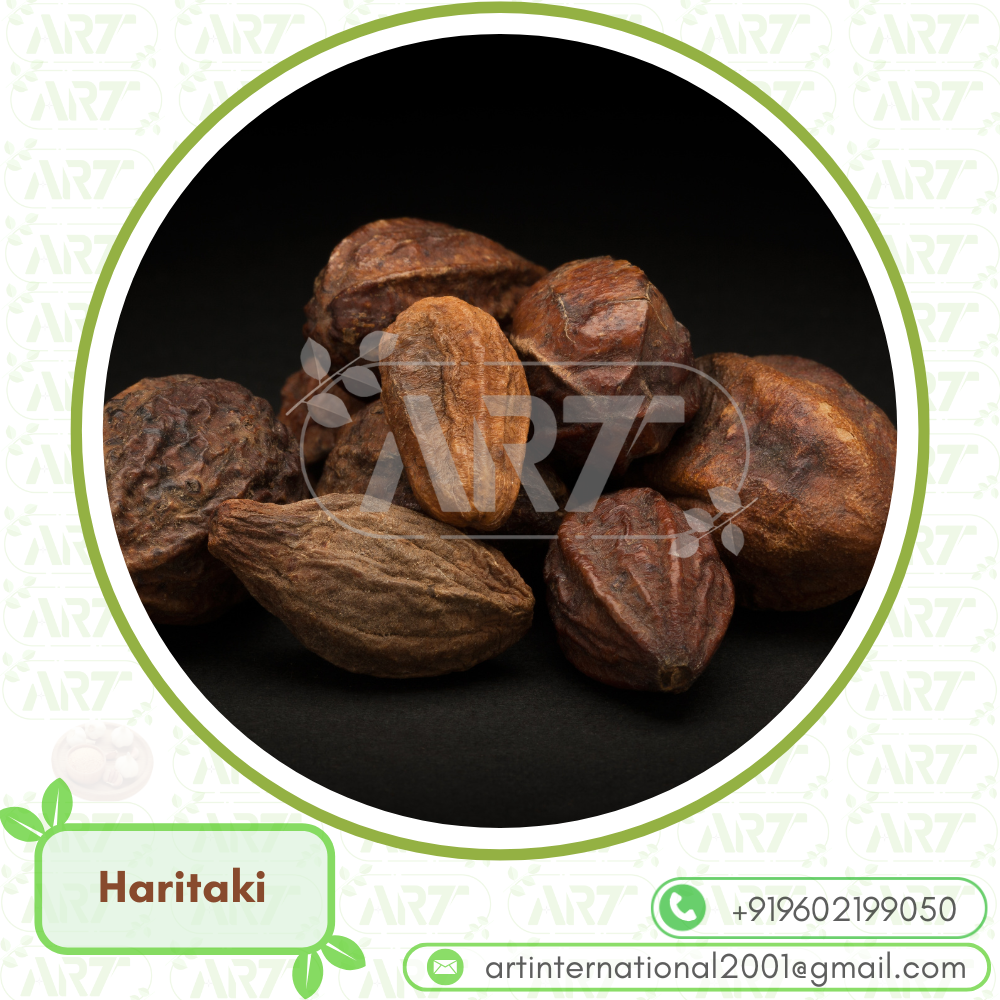 Haritaki Terminalia Chebula