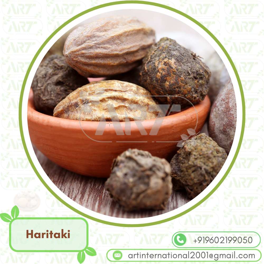 Haritaki Terminalia Chebula
