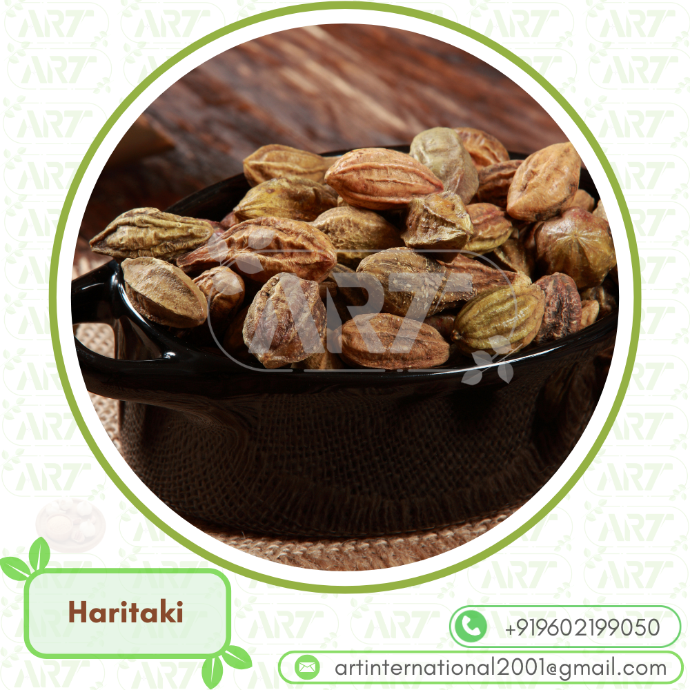 Haritaki Terminalia Chebula