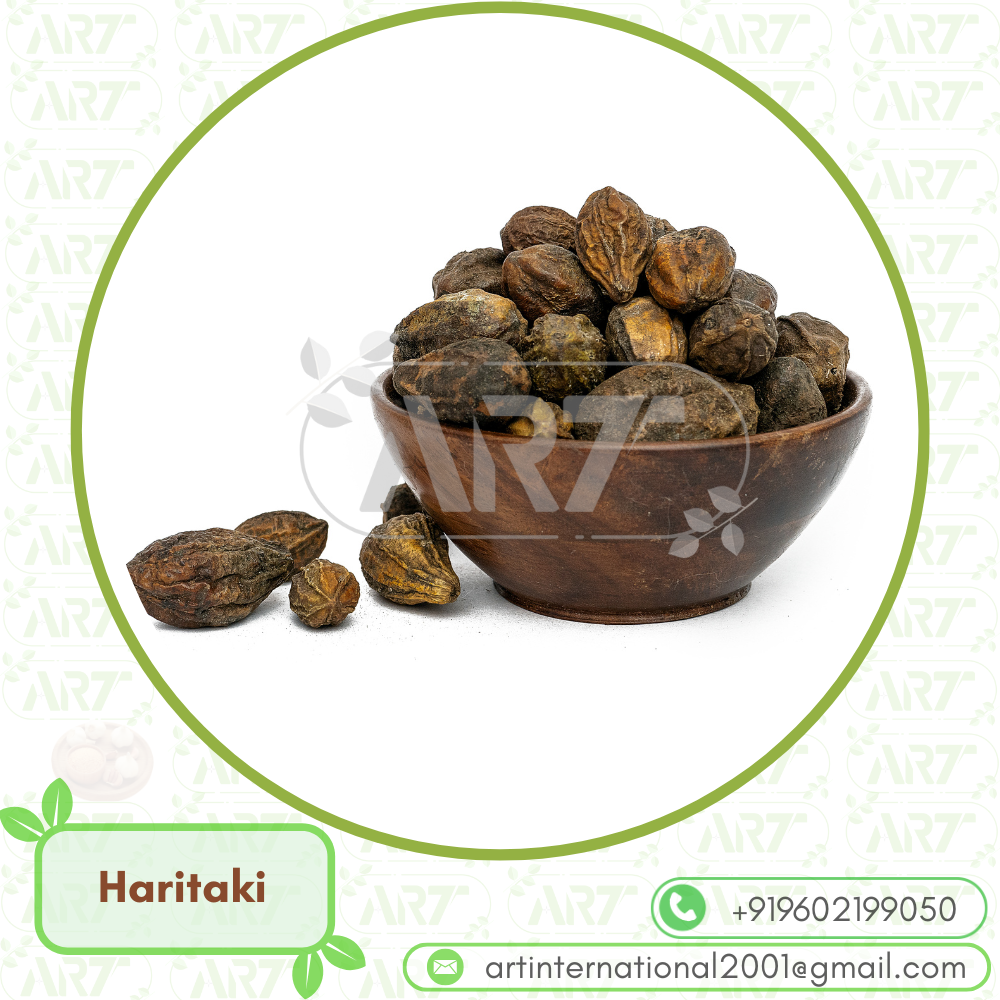 Haritaki Terminalia Chebula