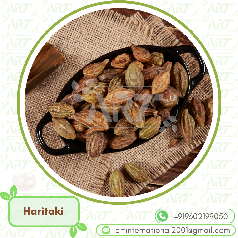 Haritaki Terminalia Chebula