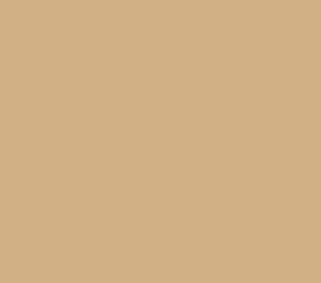 Beige Matte Powder Coating