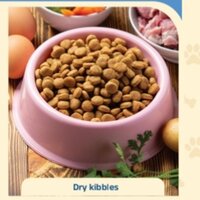 Carrageenan Pet Food