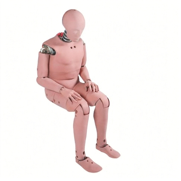 50th Percentile Male Crash Test Dummy - High-Strength Steel, Aluminum & Synthetic Rubber, 175 cm Height, 78 kg Weight, Multi-Axis Sensors, Biofidelic Joints