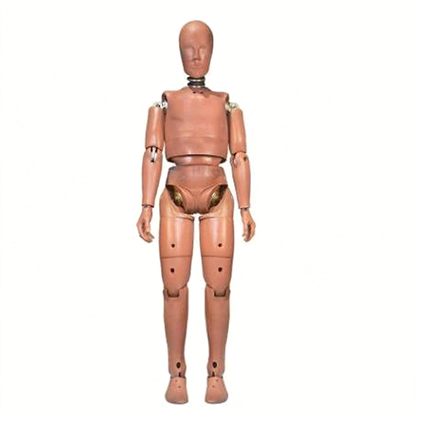 50th Percentile Male Crash Test Dummy (Standing) - Vinyl Skin, Metal Frame, 1.75m Height | 35+ Sensors, Modular Design, Hybrid III Headform