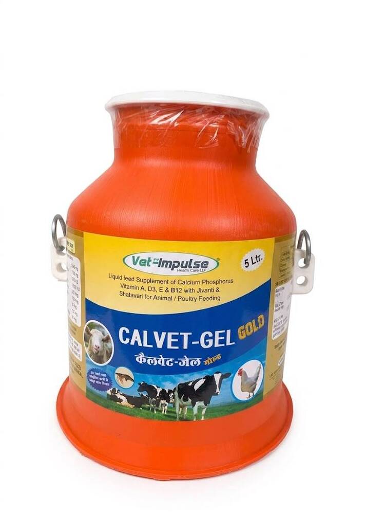 Calvet Gel Gold