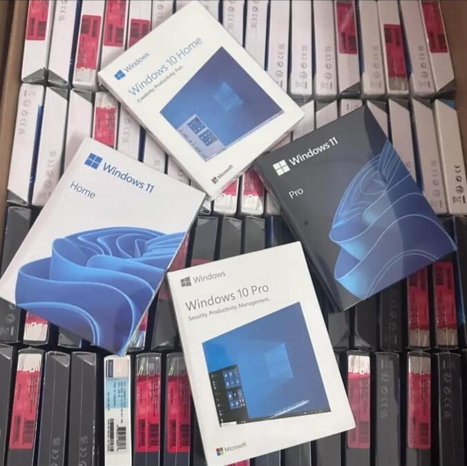 Windows 10 & 11 Professional
