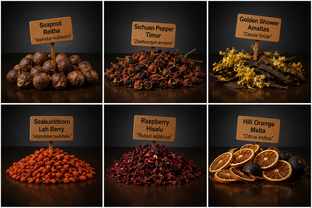 Herb fruits
