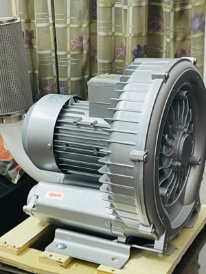Ring blower