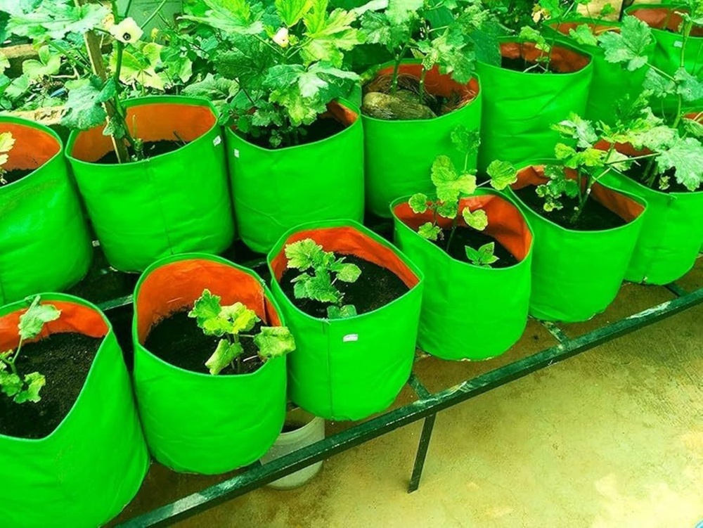 Grow Bag - Color: Green