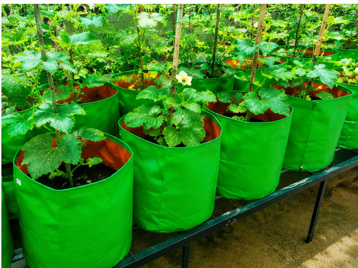 Grow Bag