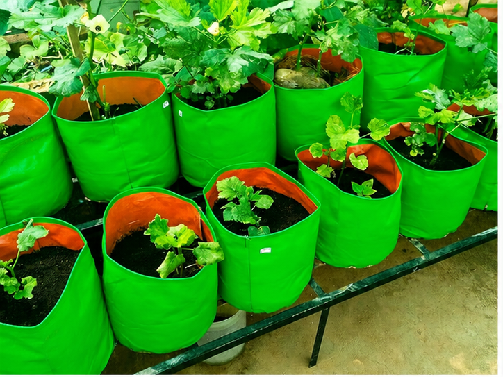 Grow Bag