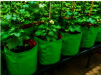 Grow Bag