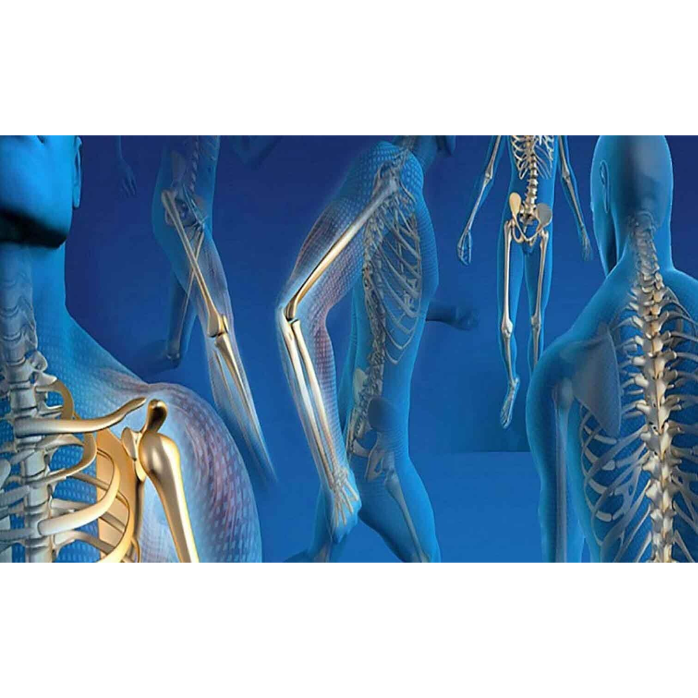 RainbowMMed Orthopedic Implants Orthopedic Trauma Implants