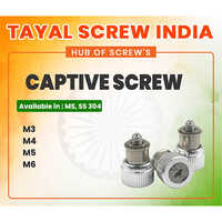 Captive Screw