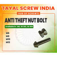 Anti Theft Nut Bolt - Stainless Steel 304, M6-m12, Metallic Silver | Custom Anti-theft Profile, Corrosion Resistant, Industrial Grade