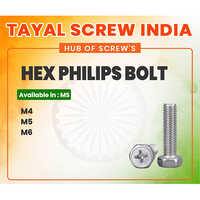 Hex Philips Bolt