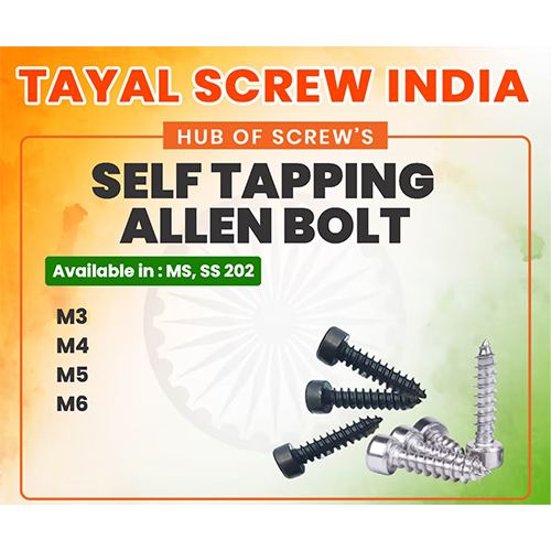 Self Tapping Allen Bolt