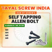 Self Tapping Allen Bolt - Stainless Steel 202 M3-m6, Natural/blackened, Corrosion Protected, Self-tapping Threads