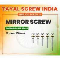 Mirror Screw