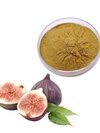 DRY FIG POWDER