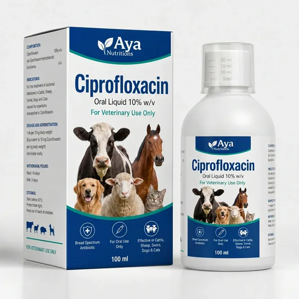 Ciprofloxacin Oral Liquid 10% 