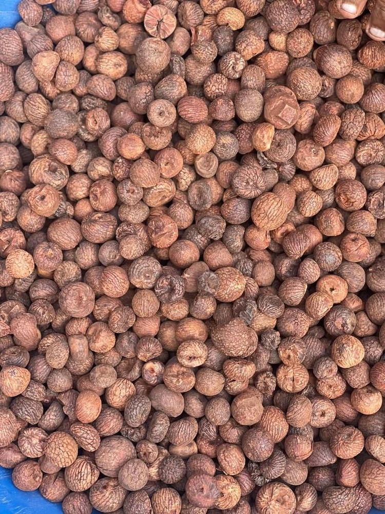 Almonds Husked Areca Nut - Color: Brown