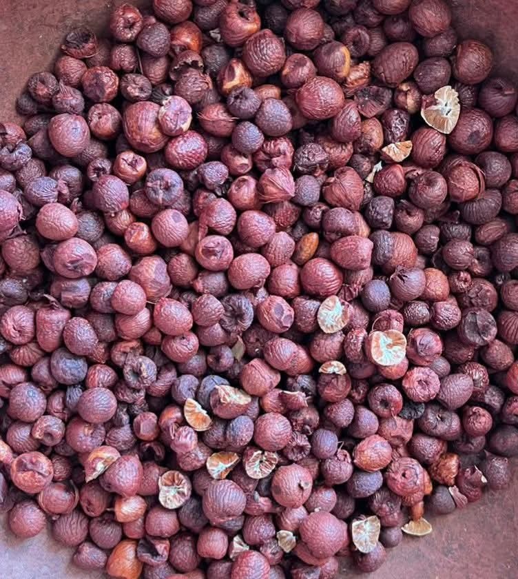 Almonds Husked Areca Nut - Color: Brown