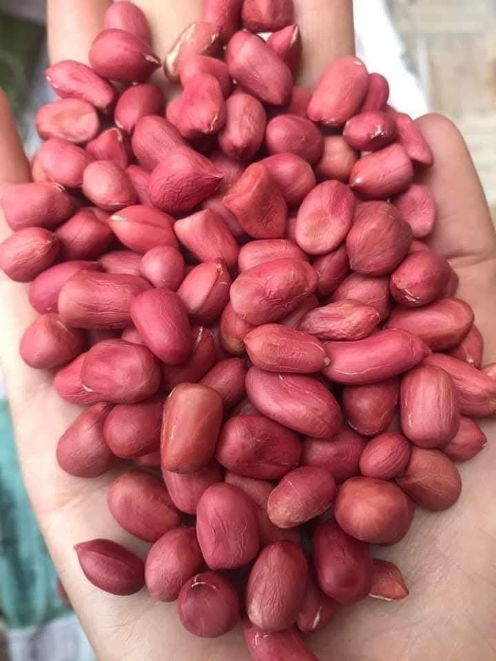 Peanut Nuts - Color: Brown