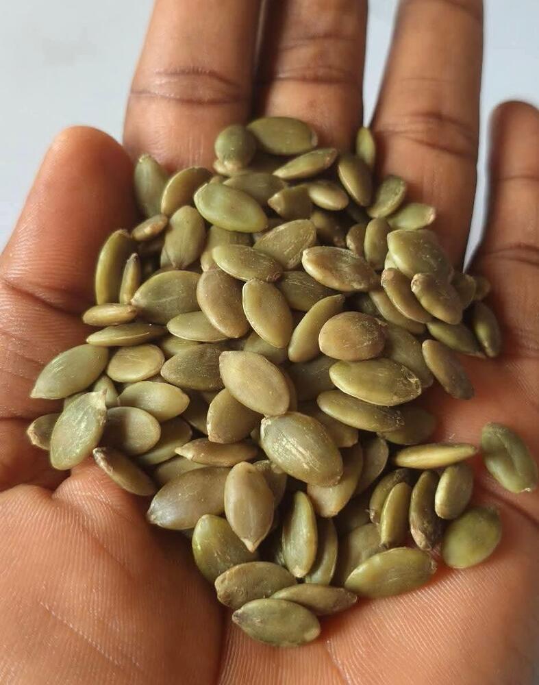 Pumpkin Seeds - Color: Green