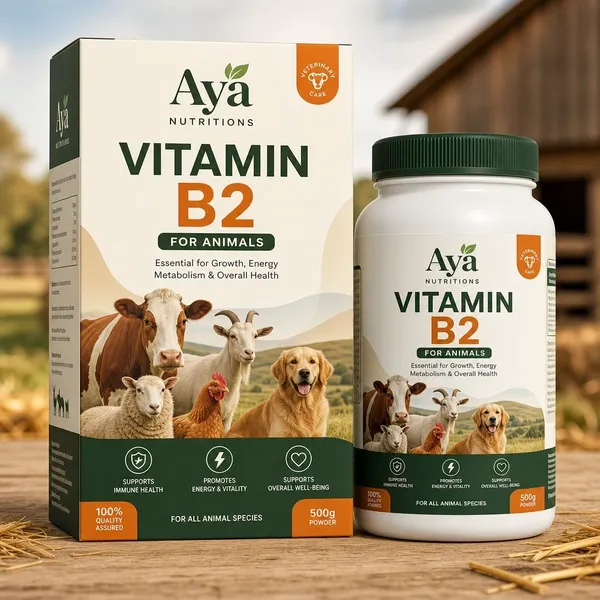 Vitmin B2 for Animal