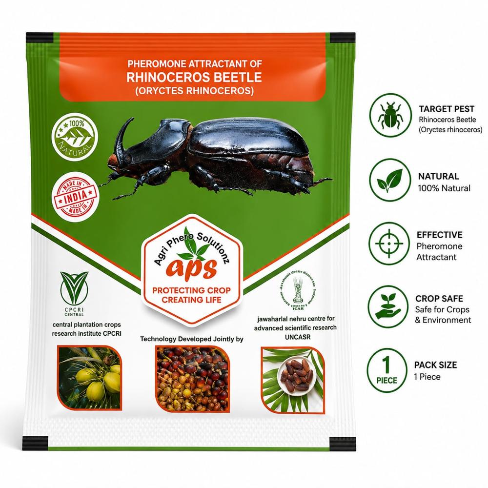 Rhinoceros beetle lure