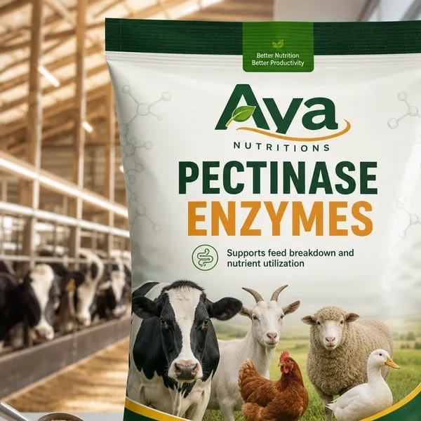 animal feed additive containing pectinase enzymes