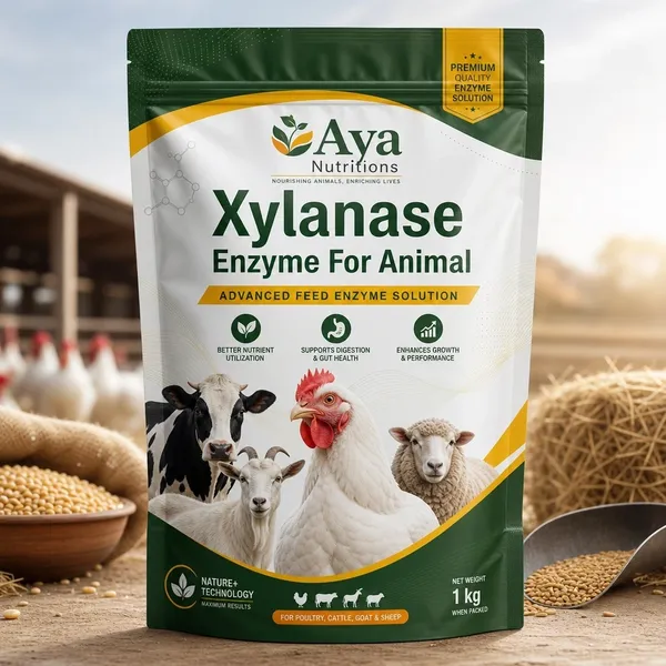 Aya Nutrtions Xylanase Enzyme