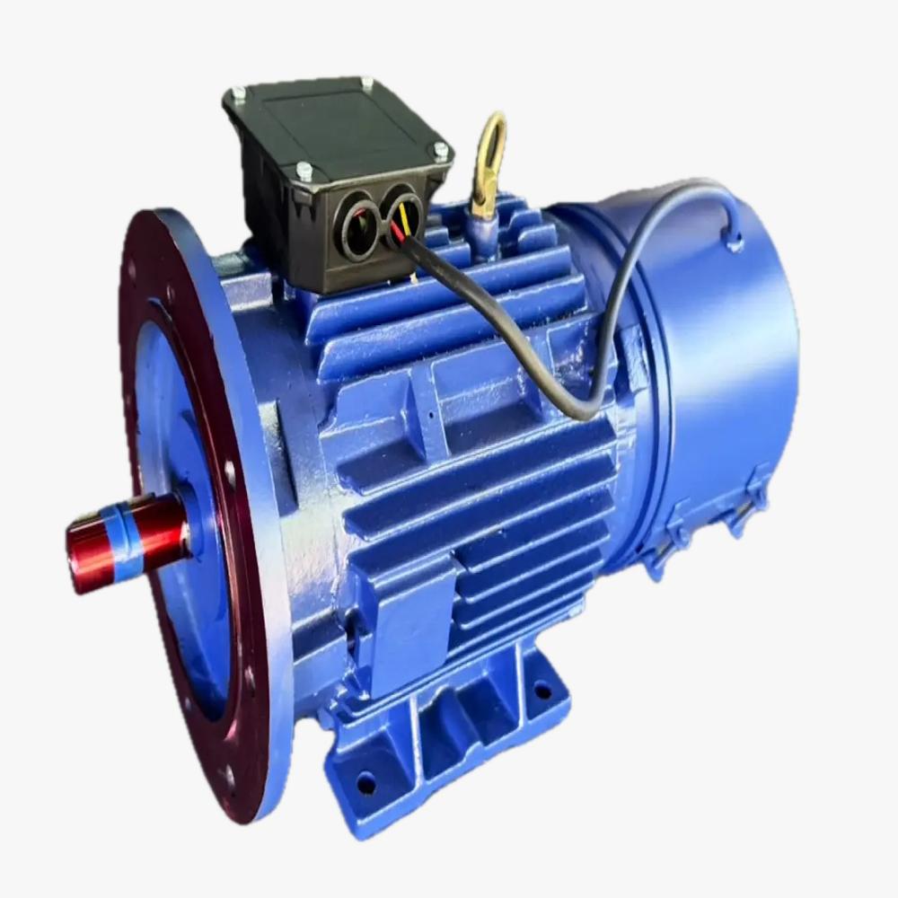 AC Brake Motor