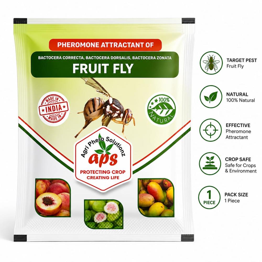 fruit fly pheromone lure