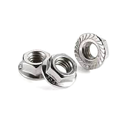 SS Flange Nut
