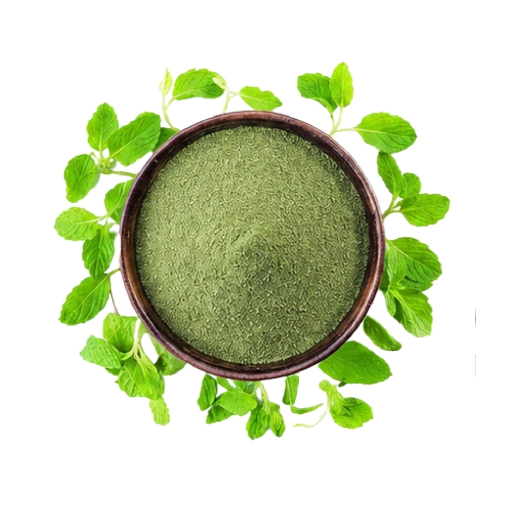 Dehydrated Mint Leaves Powder