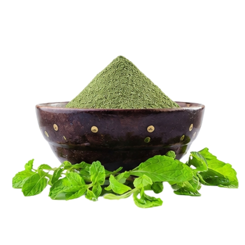 Dehydrated Mint Leaves Powder