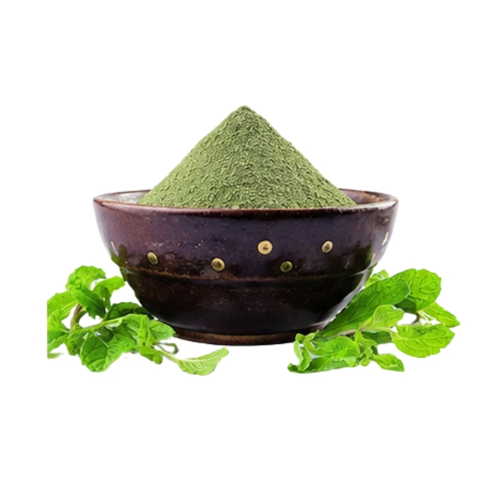 Dehydrated Mint Leaves Powder