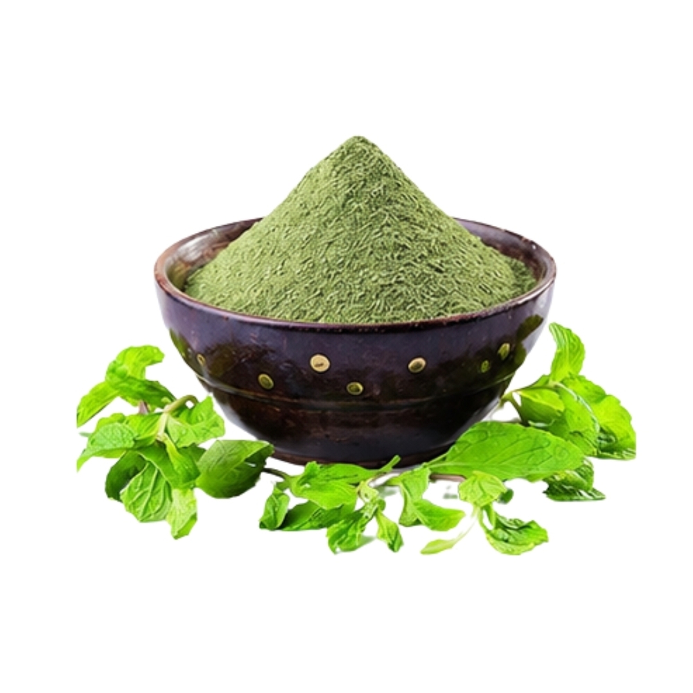 Dehydrated Mint Leaves Powder