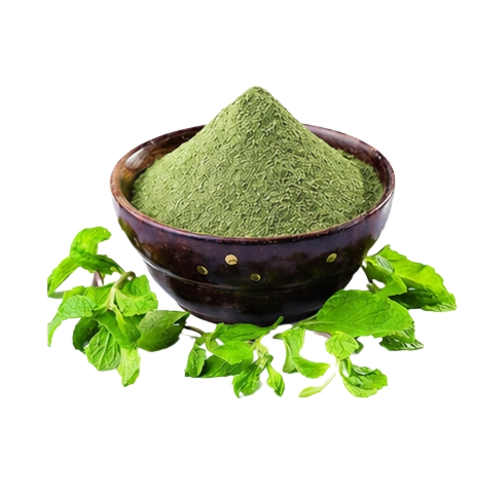 Dehydrated Mint Leaves Powder