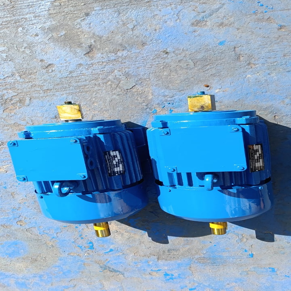 THREE PHASE ELECTRIC MOTOR